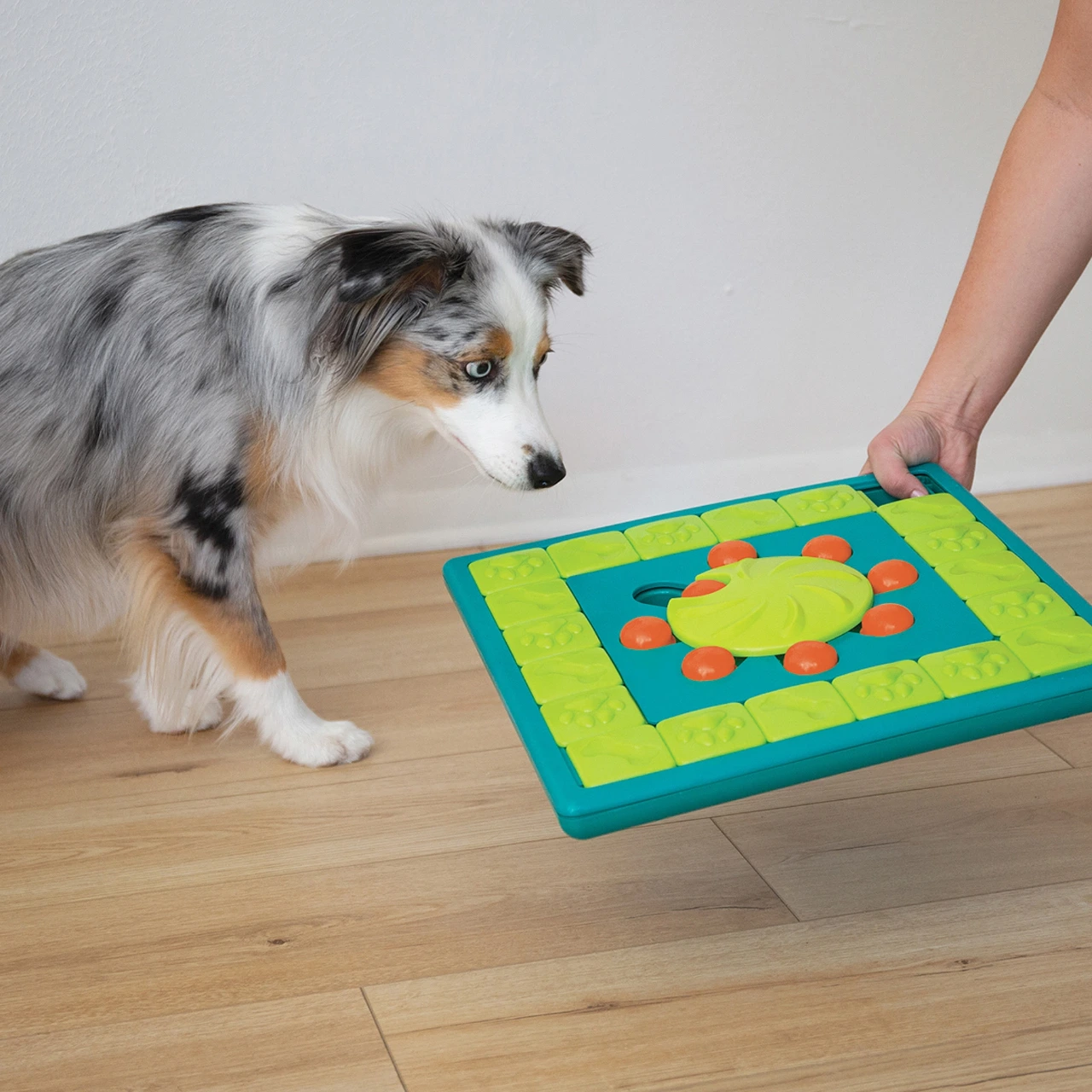 Nina Ottosson Multipuzzle Niveau 4 - udfordrende aktivitetslegetøj til hunde